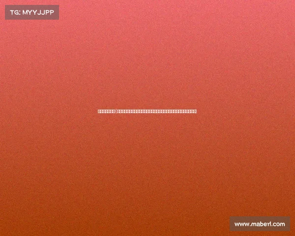 国内的格斗赛事(国内格斗赛事全新赛季震撼启航顶尖选手激烈角逐冠军荣耀见证王者诞生)